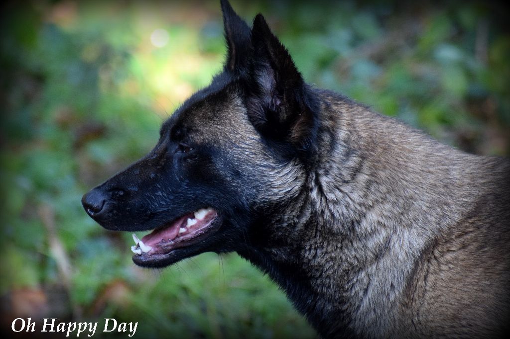 Oh happy day de la vallée Caid