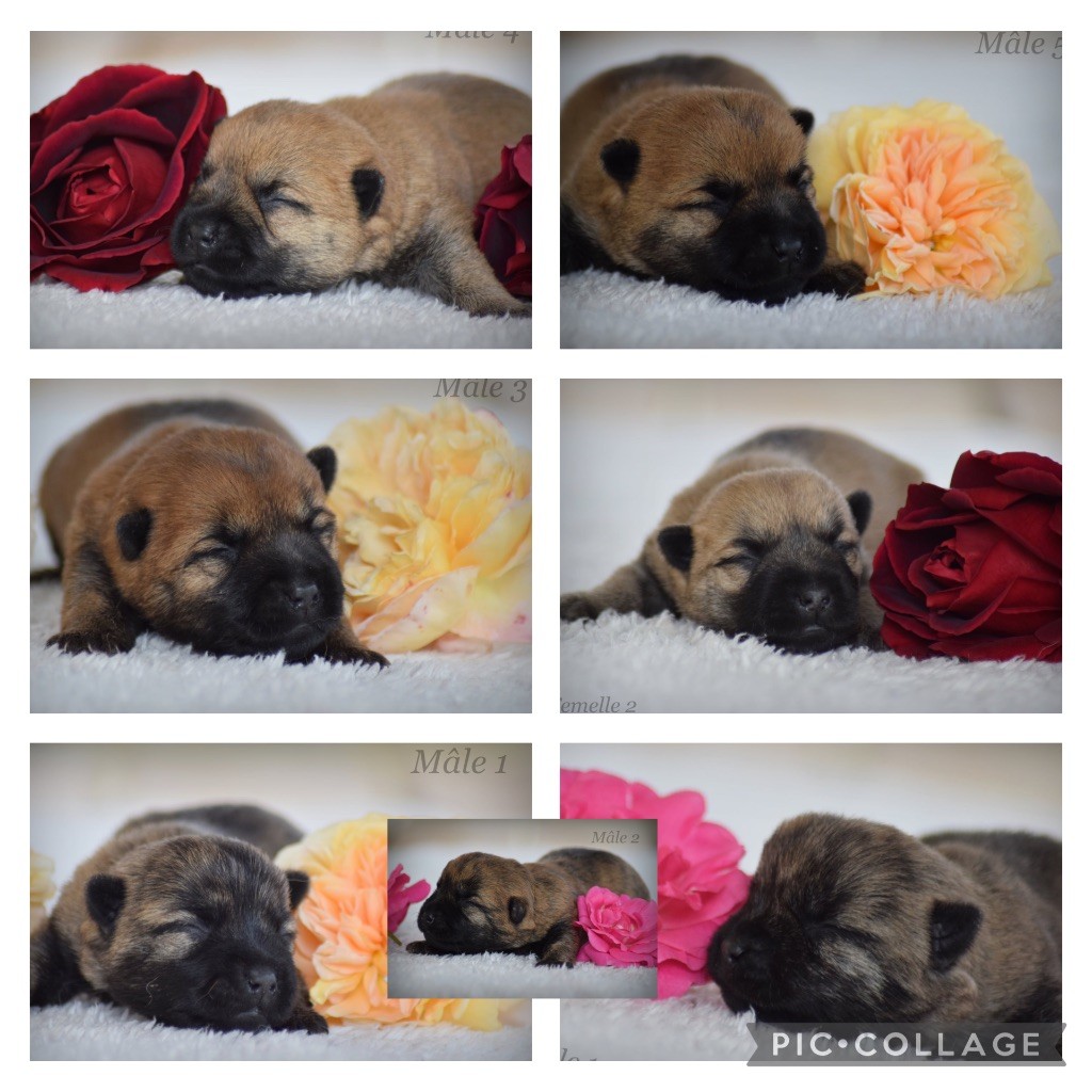 Nouvelle naissance 