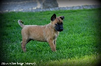 LOGUN